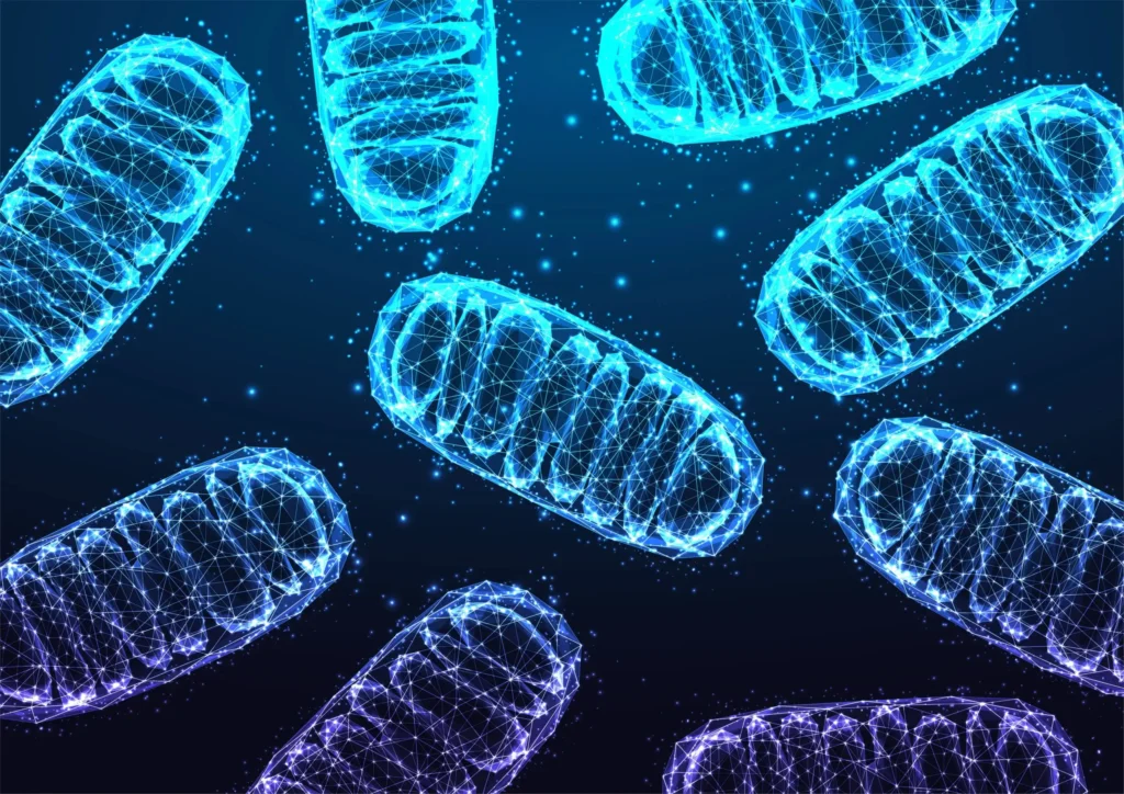 Mitochondria Therapy at Bioinfinity in Addison, Plano, Dallas and Frisco TX